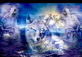 gemma spiritualist medium stacey wolf
